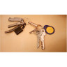 Карабин для ключей Victorinox 4.1835